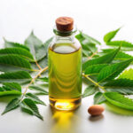 How Neem Oil Protects Plants