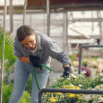 Urban Gardening